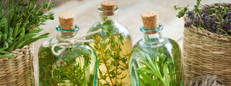 herboristerie et soins aux plantes
